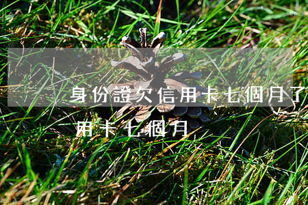 身份證欠信用卡七個月了怎么辦（身份證欠信用卡七個月）
