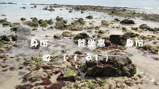 身份證沒帶能坐高鐵嗎(身份證沒帶能坐高鐵嗎收費(fèi)嗎)