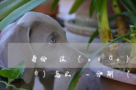 身份證注銷(xiāo)了欠的分期樂(lè)怎么辦-分期樂(lè)注銷(xiāo)了身份證也注銷(xiāo)了嗎