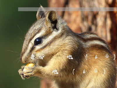 身份證異地補(bǔ)辦需要什么材料(身份證異地補(bǔ)辦需要什么材料)
