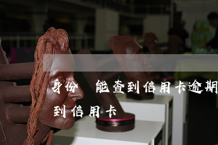 身份證能查到信用卡逾期嗎(身份證能不能查到信用卡)