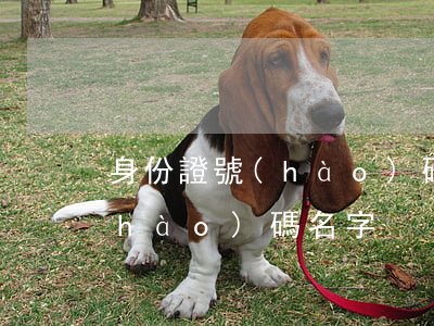 身份證號(hào)碼查名字(查身份證號(hào)碼 名字)
