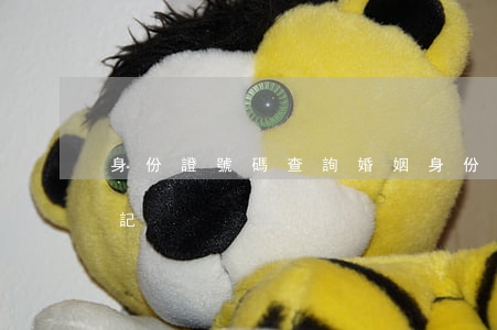 身份證號碼查詢婚姻(身份證號碼查詢婚姻登記)