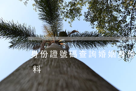 身份證號碼查詢婚姻(身份證號碼查詢婚姻資料)