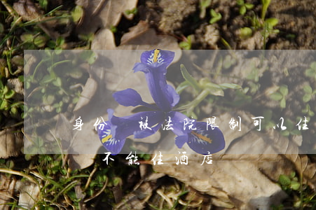 身份證被法院限制可以住酒店嗎(為什么身份證不能住酒店)