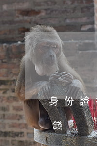 身份證補辦要多少錢(臨時身份證補辦要多少錢)