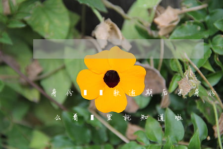 身份證貸款逾期后果(身份證過期了還能貸款么,看這里就知道啦)