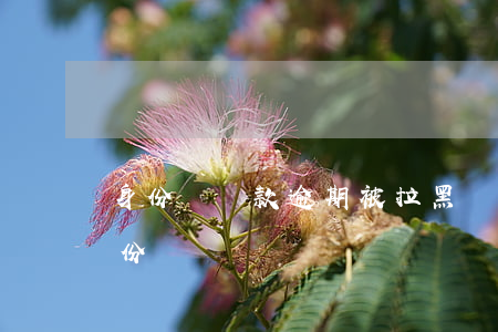 身份證貸款逾期被拉黑(網貸逾期多久拉黑身份證)