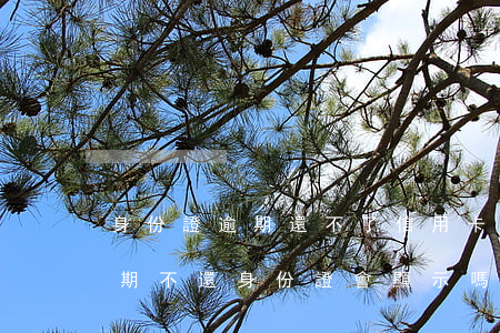 身份證逾期還不了信用卡(信用卡超過一萬逾期不還,身份證會顯示嗎?)