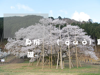 身份證過(guò)期多久會(huì)消磁