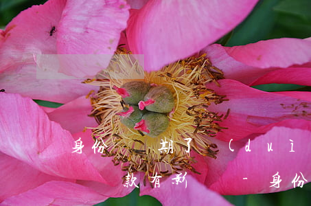 身份證過期了對(duì)網(wǎng)貸還款有影響嗎-身份證過期了對(duì)網(wǎng)貸還款有影響嗎怎么辦