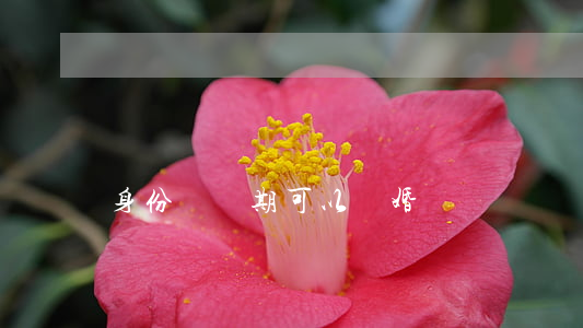 身份證過期可以離婚嗎