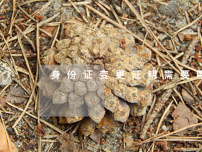 身份证变更证明需要哪些材料