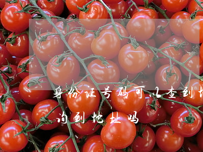 身份证号码可以查到地址吗(身份证号可以查询到地址吗)