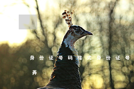 身份证号码格式(身份证号码格式不正确怎么弄)