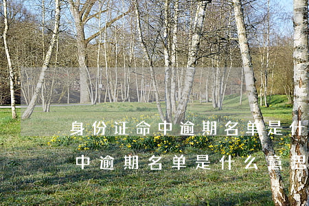 身份证命中逾期名单是什么意思-身份证命中逾期名单是什么意思啊