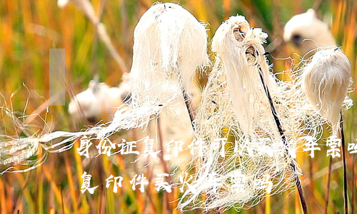 身份证复印件可以买火车票吗(可以用身份证复印件买火车票吗?)