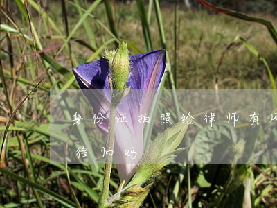 身份证拍照给律师有风险吗(身份证可以发给律师吗)