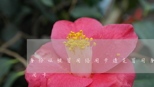 身份证被冒用信用卡透支(冒用身份证办理信用卡)