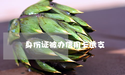 身份证被办信用卡透支