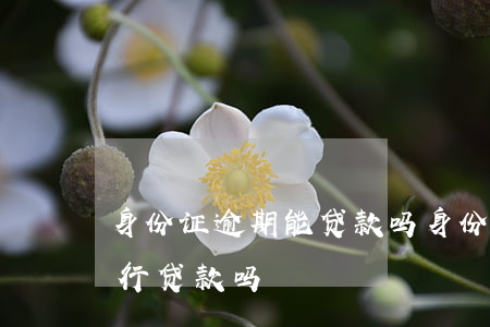 身份证逾期能贷款吗(身份证过期了可以在银行贷款吗)