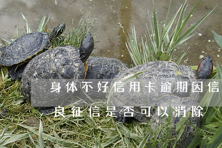 身体不好 信用卡逾期(因信用卡逾期造成的不良征信是否可以消除)