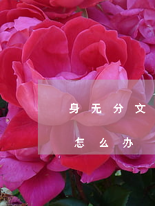身无分文欠一屁股债-身无分文欠一堆的债怎么办