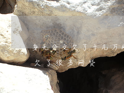 身无分文欠了十几万网贷怎么办-身无分文欠了很多网贷