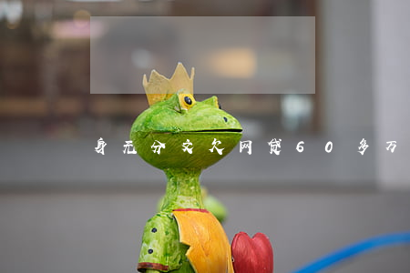 身无分文欠网贷60多万怎么还
