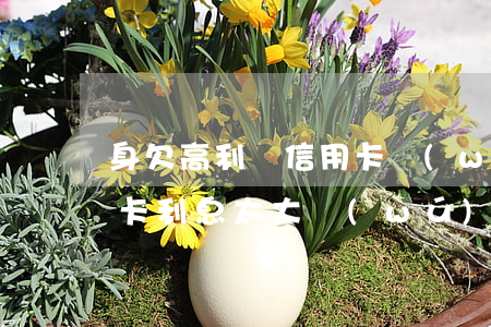 身欠高利貸信用卡無(wú)力償還(欠信用卡利息太大無(wú)力償還)