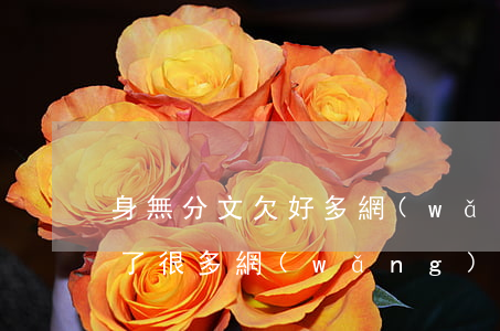 身無分文欠好多網(wǎng)貸信用卡(欠了很多網(wǎng)貸和信用卡怎么辦)