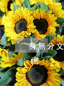 身無分文欠網(wǎng)貸60多萬怎么還
