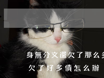 身無分文還欠了那么多債怎么辦-身無分文欠了好多債怎么辦