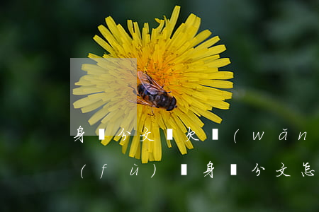 身無分文還欠網(wǎng)貸怎么掙錢(負(fù)債身無分文怎么賺錢)