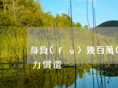 身負(fù)幾百萬(wàn)無(wú)力償還
