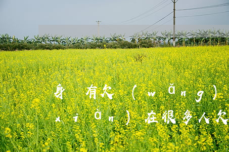 身邊有欠網(wǎng)貸不還的人嗎(現(xiàn)在很多人欠網(wǎng)貸嗎)