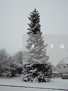 身邊欠信用卡的人怎么辦（身邊欠信用卡的）