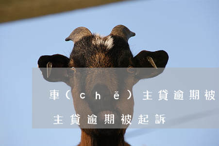 車(chē)主貸逾期被起訴(車(chē)主貸逾期被起訴)