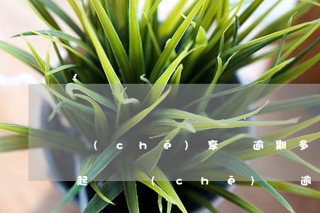 車(chē)享貸逾期多久會(huì)被起訴(車(chē)貸逾期多久會(huì)被法院起訴)