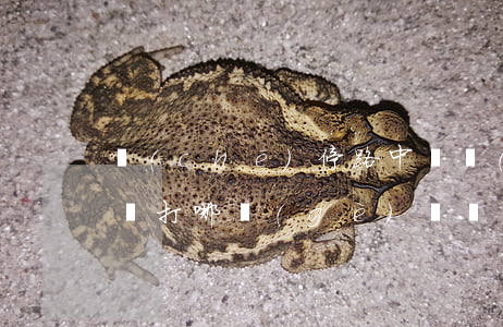 車(chē)停路中間(車(chē)停路中間打哪個(gè)電話(huà)投訴)