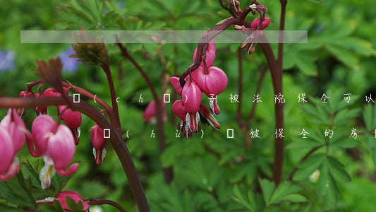 車(chē)子被法院保全可以過(guò)戶(hù)嗎(被保全的房產(chǎn)可以過(guò)戶(hù)嗎)
