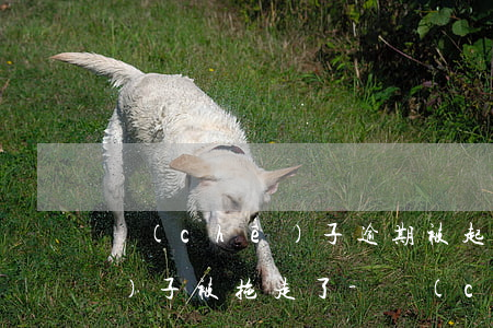 車(chē)子逾期被起訴然后車(chē)子被拖走了-車(chē)子逾期被起訴然后車(chē)子被拖走了