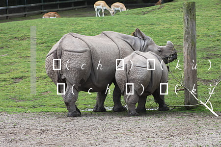 車(chē)庫(kù)合同糾紛如何處理(車(chē)庫(kù)買(mǎi)賣(mài)合同怎么寫(xiě))