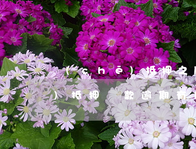 車(chē)抵押之后還款逾期(車(chē)抵押貸款逾期有什么后果)