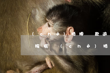 車(chē)抵押貸款逾期會(huì)怎樣(按揭車(chē)抵押了逾期不還會(huì)怎么辦)