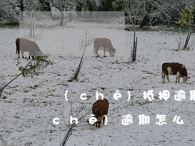 車(chē)抵押逾期利息怎么算(抵押車(chē)逾期怎么處理)