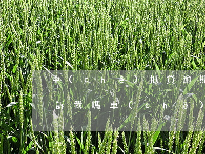 車(chē)抵貸逾期銀行會(huì)起訴我嗎 車(chē)抵貸逾期了