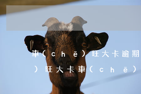 車(chē)旺大卡逾期被起訴(車(chē)旺大卡車(chē)輛授權(quán)已過(guò)期)