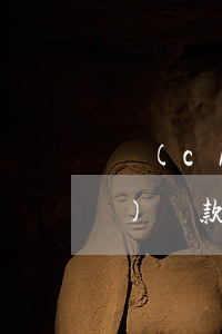 車(chē)款逾期還款怎么還(車(chē)貸款逾期還款的后果)