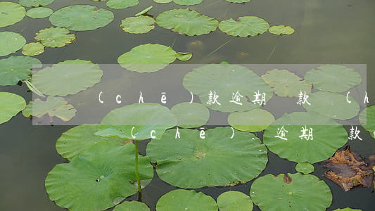 車(chē)款逾期還款會(huì)坐牢嗎(車(chē)貸逾期還款的后果)